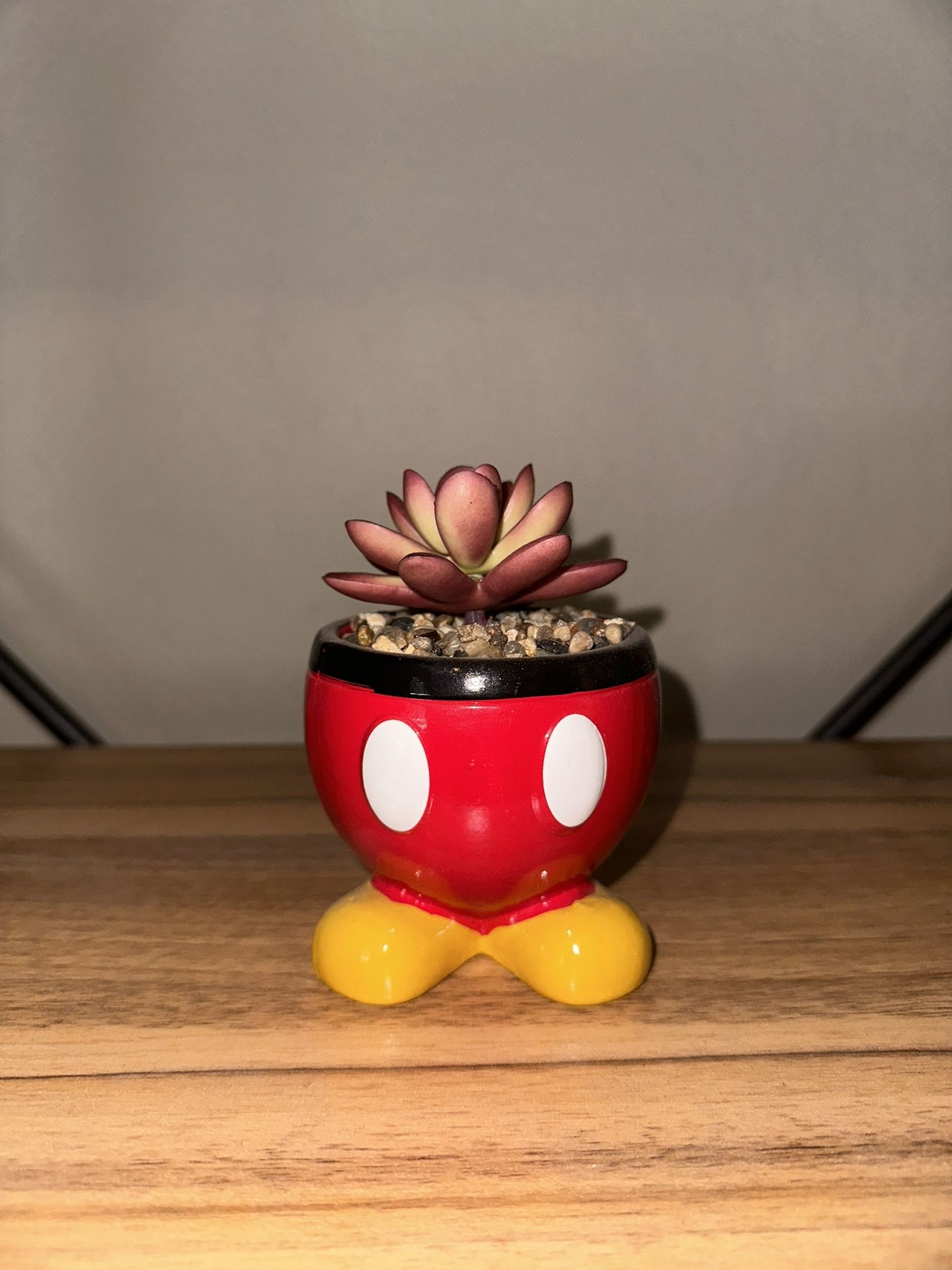 mickey mouse fake plant