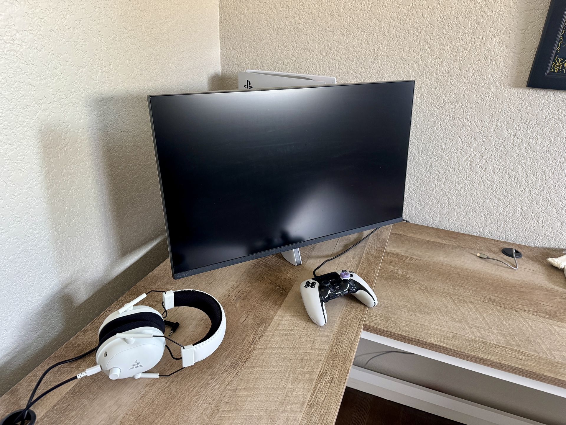 PS5/Monitor Bundle