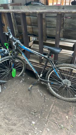 Roadmaster mountain bike