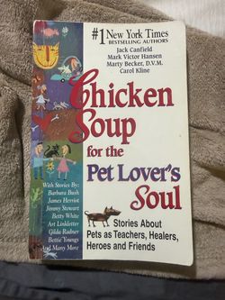 Chicken Soup for the Soul Book