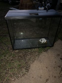 Fish Tank