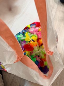 Leis