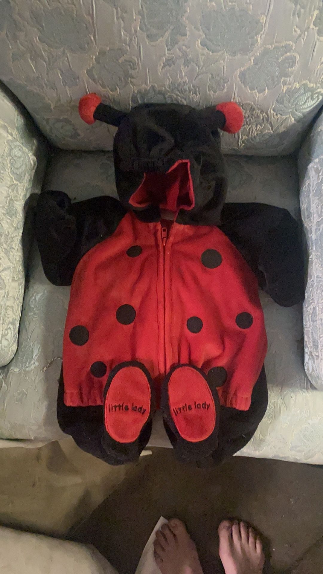 Little Lady Bug Halloween Costume