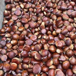 End Of Season Chestnuts  $4 Per Pound 