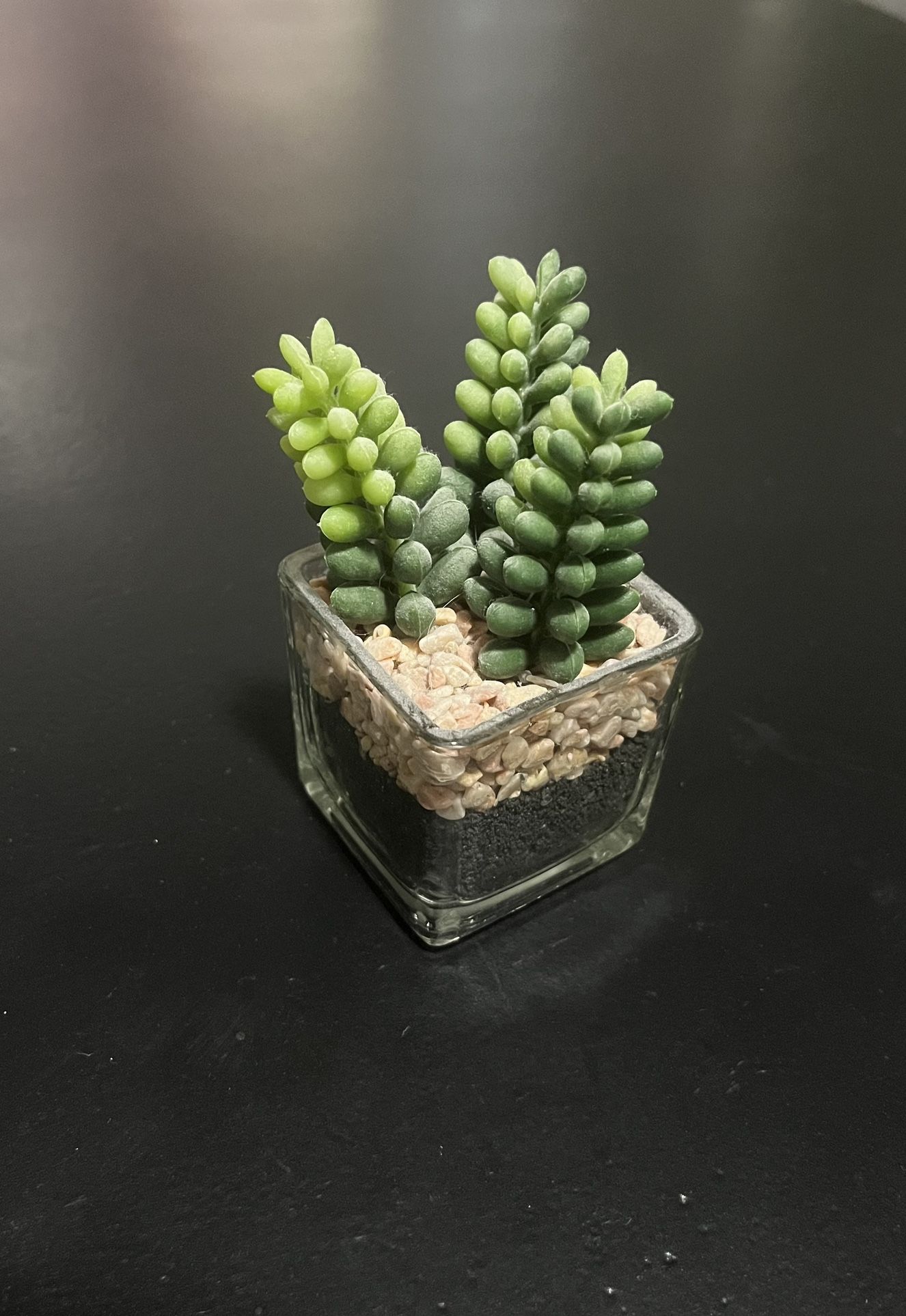 Mini Fake Succulent