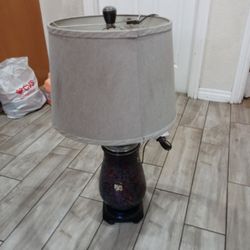 Lamp Used In Good Condition asking $20