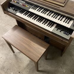 Organ