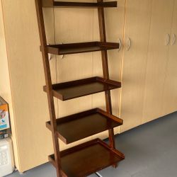 Ladder shelf 