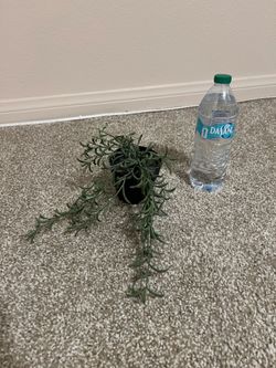 IKEA Artificial Plant