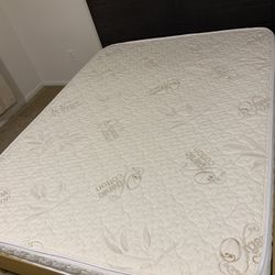 6" Queen size All Natural Dunlop Latex mattress