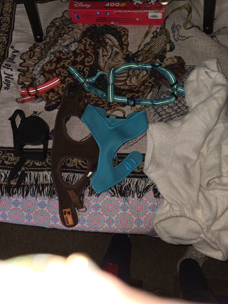 Dog Harnesses And Leashes And Outfit