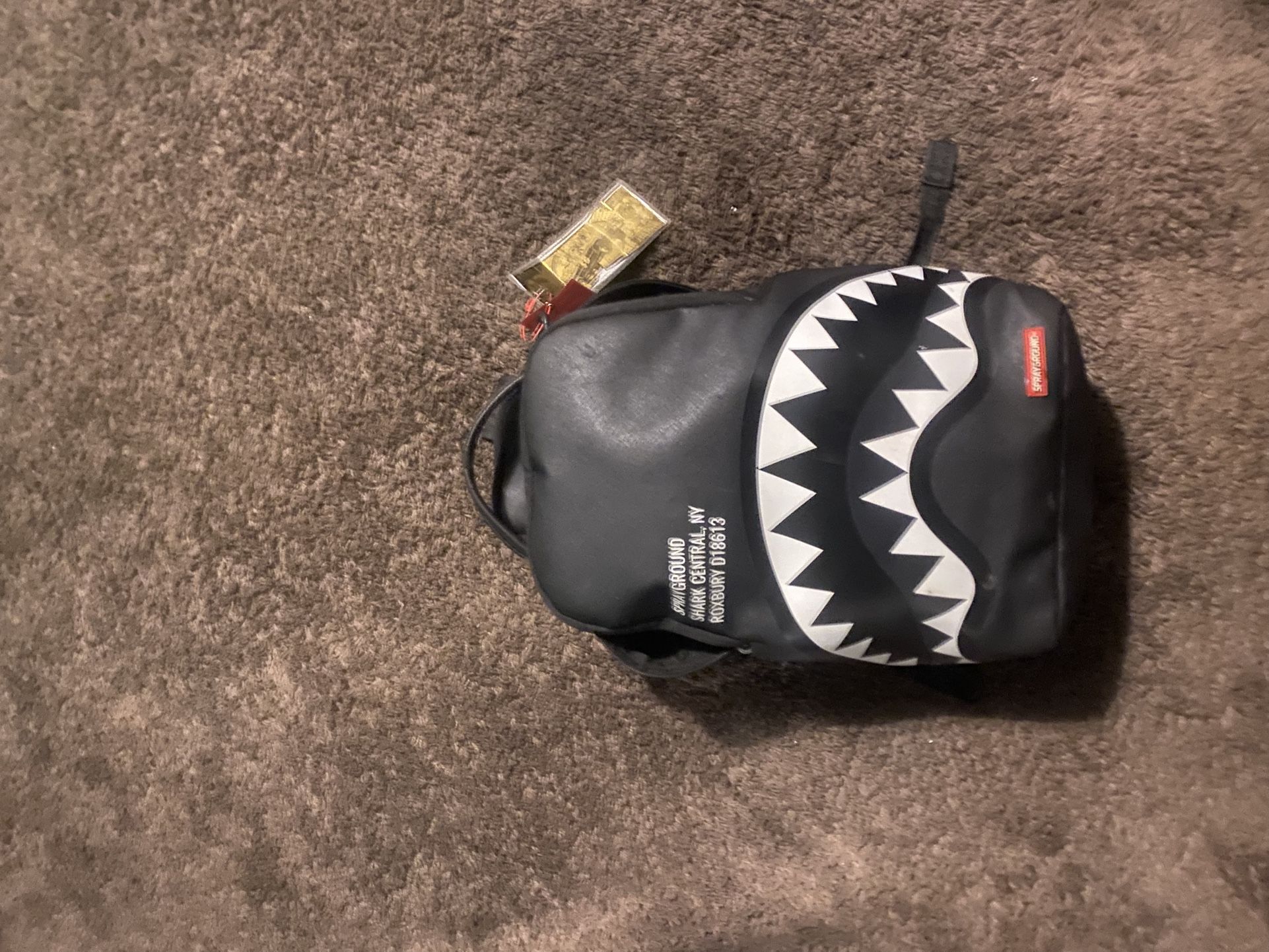 Spary Ground Backpack