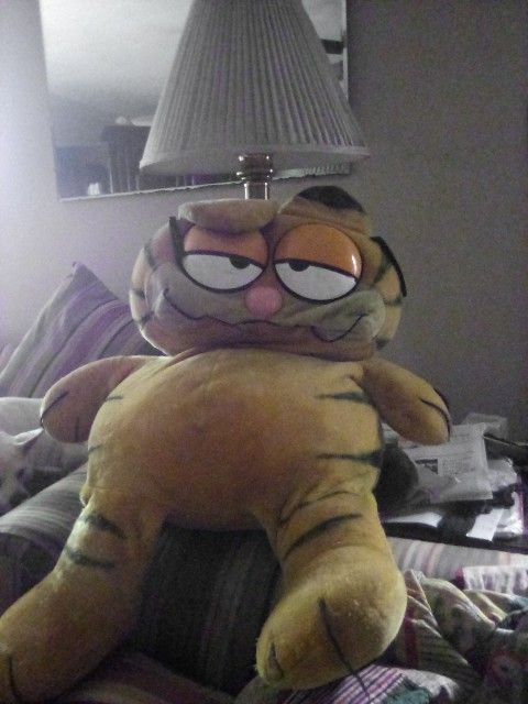 Giant Garfield 