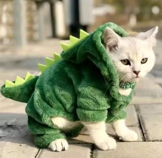 Dino Costume
