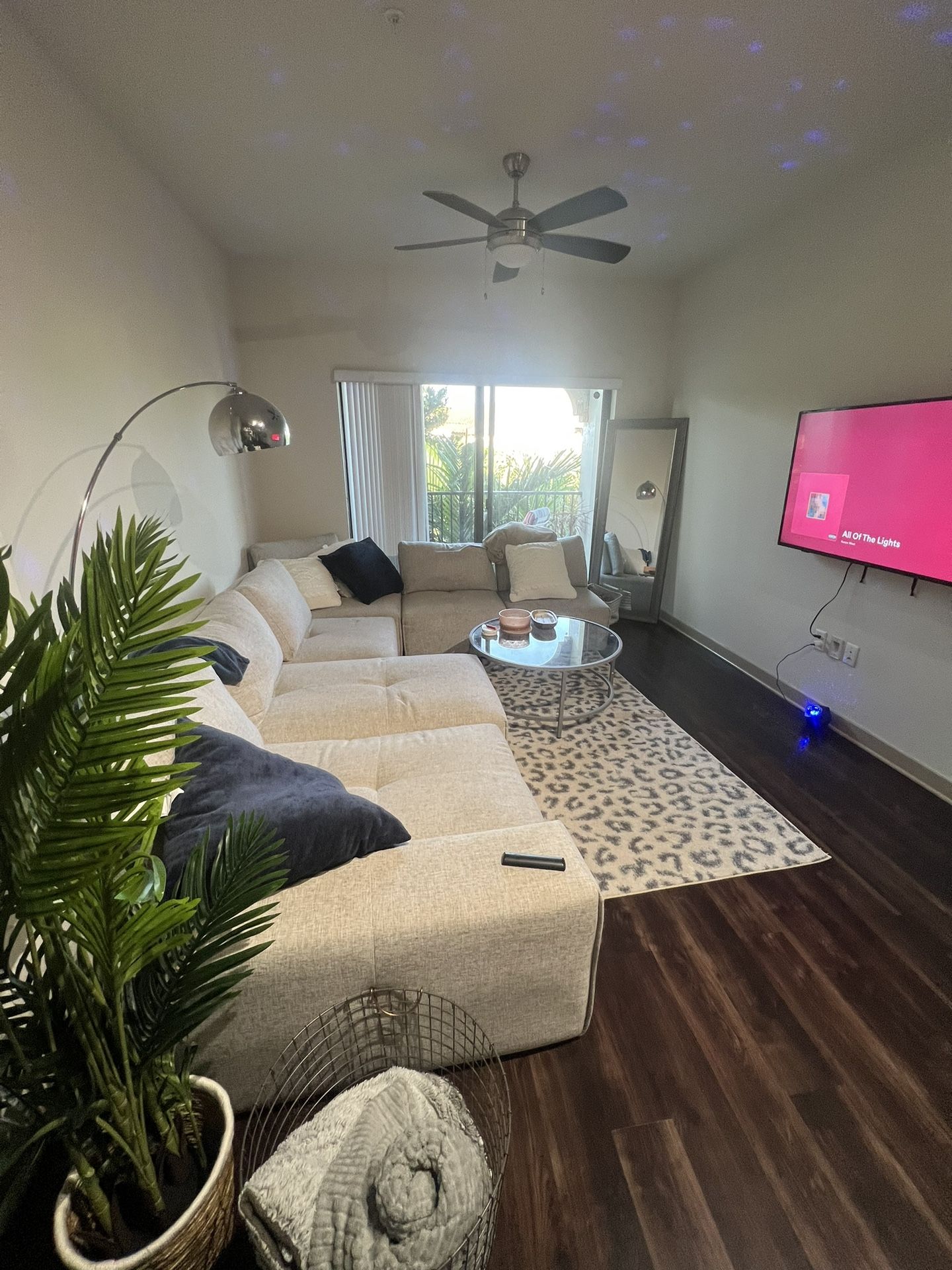 Modern Sectional Couch