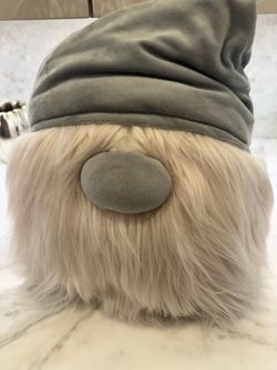 PB Teen Gnome bed pillow