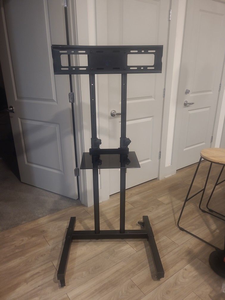 rolling computer stand/portable T.V. mount