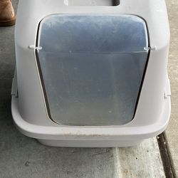 Cat Litter 