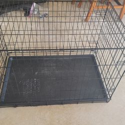 Large Cage 