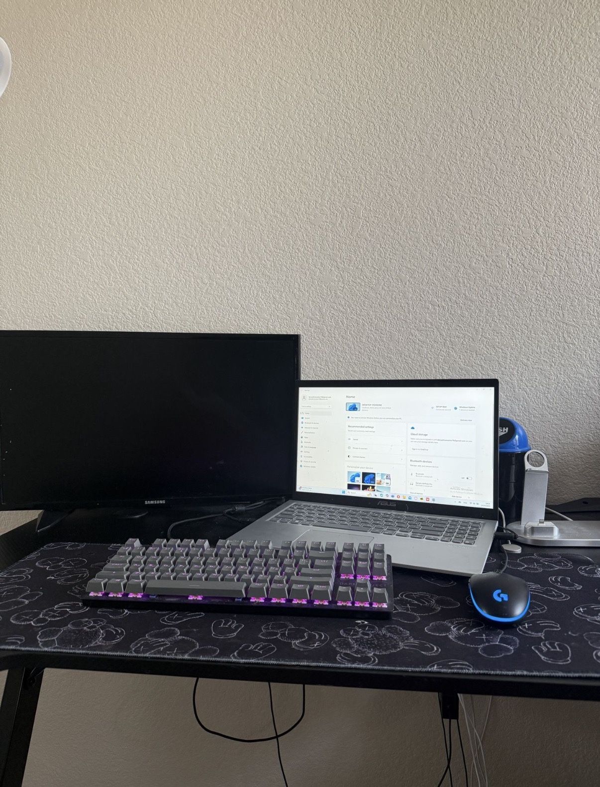 Gaming Setup