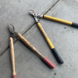 Brach Tree Scissors /Tijeras