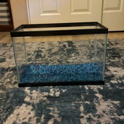 5.5 Gallon Fish Tank With Filter
