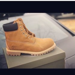 Brand new Tim’s size 13