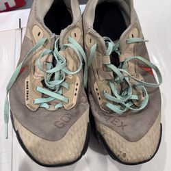 Nike Gortex Shoes (used ) 