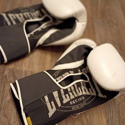 Boxing Gloves Everlast