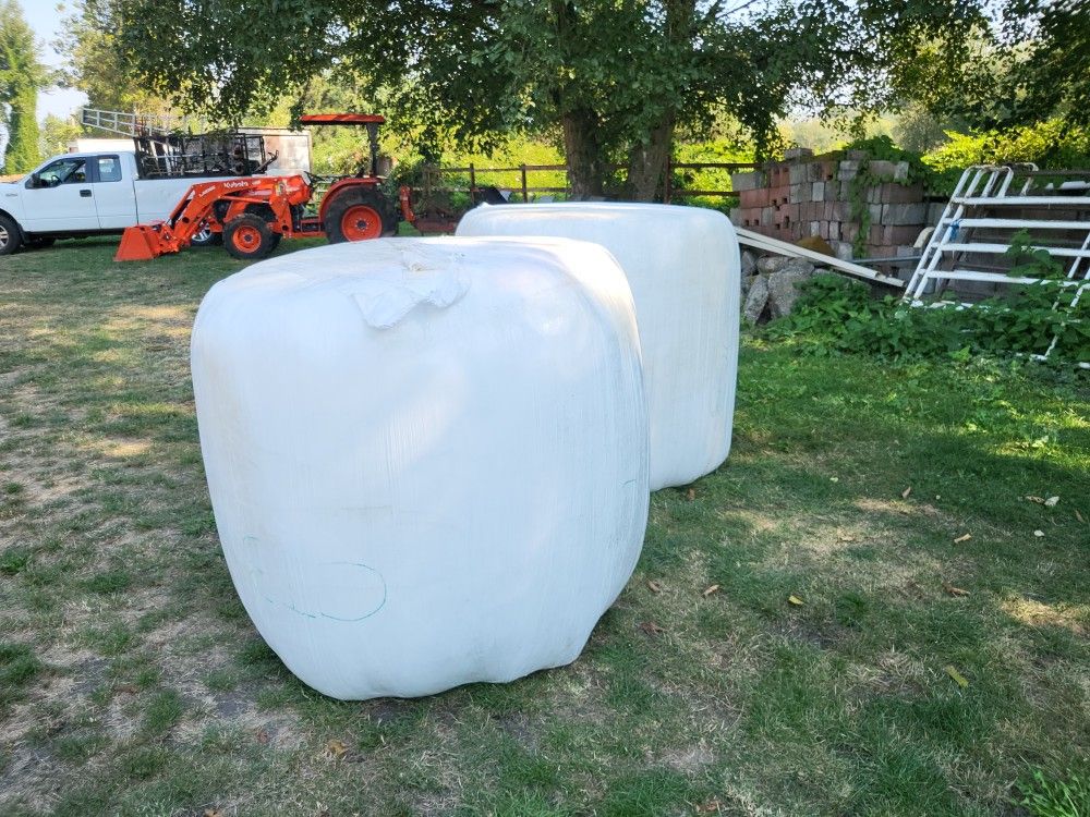 Supersize Orchard & Alfalfa Mix Haylage!