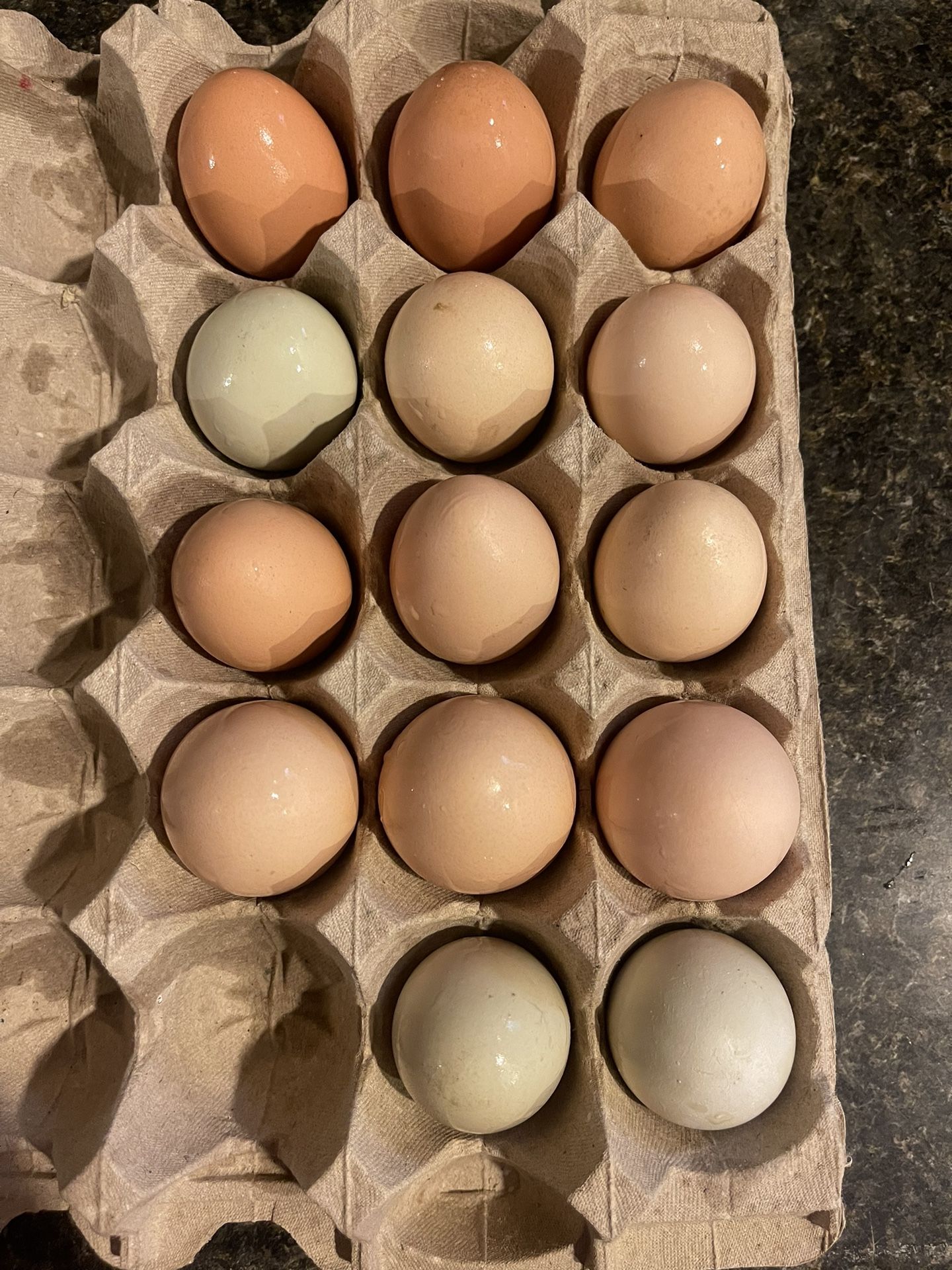 Organic Fresh Eggs