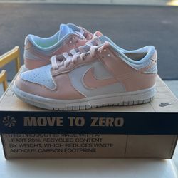 Brand New Nike Dunks