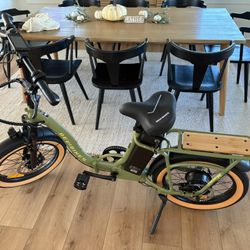 NEW! Folding E-Bike With 2 Yr Warranty