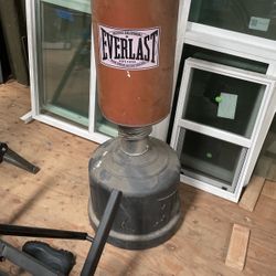 Everlasting Punching And Kicking Bag 