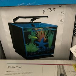 Beta fish tank