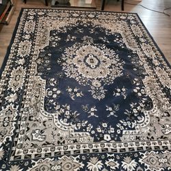Rug 7x10 