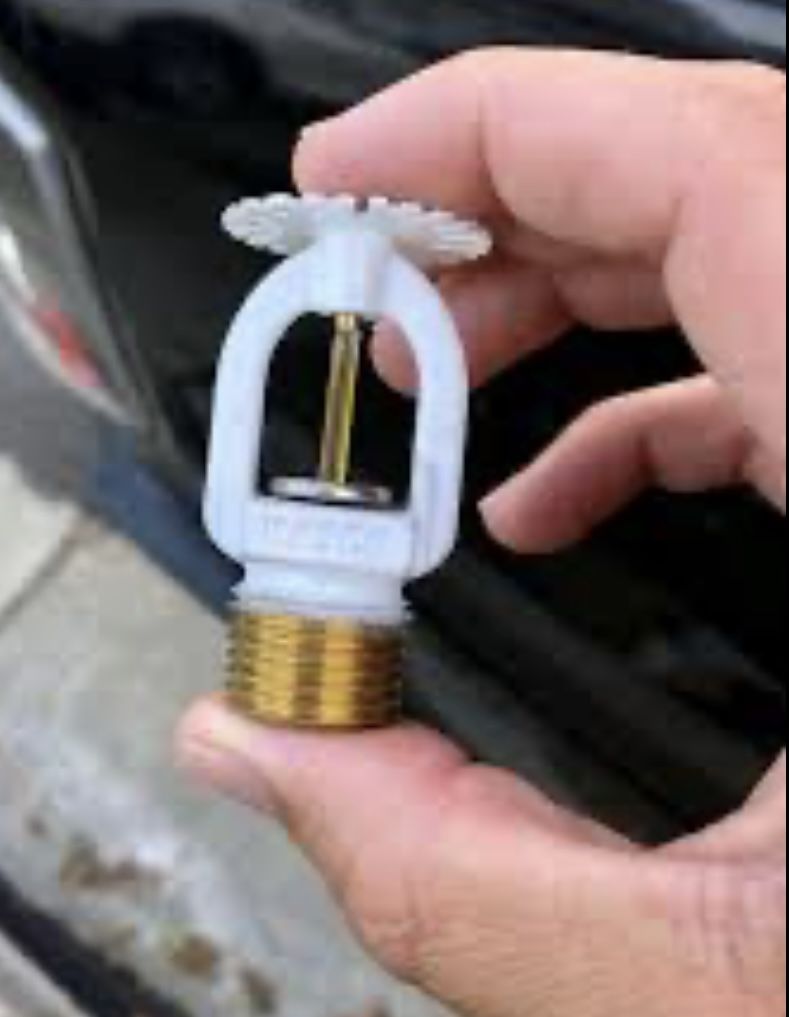 Sprinkler Head