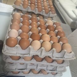 Huevos Criollos . Hacemos Domicilio (contact info removed)