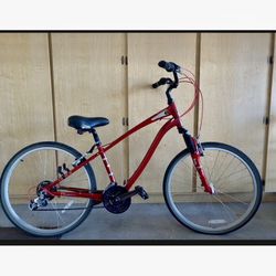 Schwinn select series 21