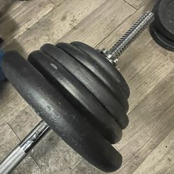 Standard Barbell And 125 Lbs. Of Weight Plates 