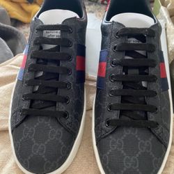 Gucci Shoes 