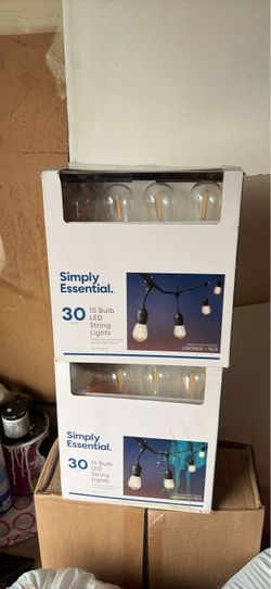 15 Light 30 ft. Outdoor Plug-in Integrated LED ST38 Fairy String-Light Hanging Patio Light with Remo