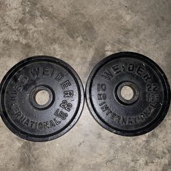 2 22lb weider international iron plates