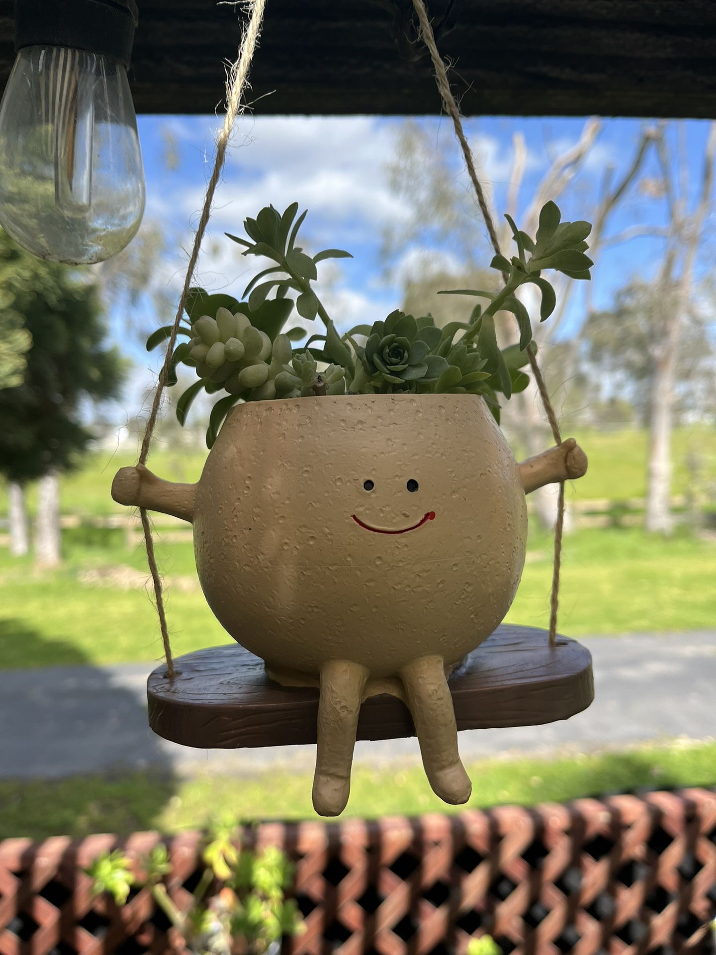 Hanging Succulent Pot In Swing