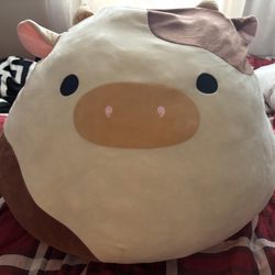 Ronnie Squishmallow