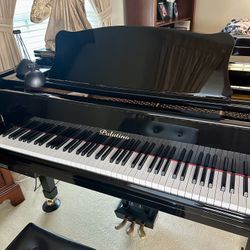 Self-Playing Palatino Baby Grand Piano
