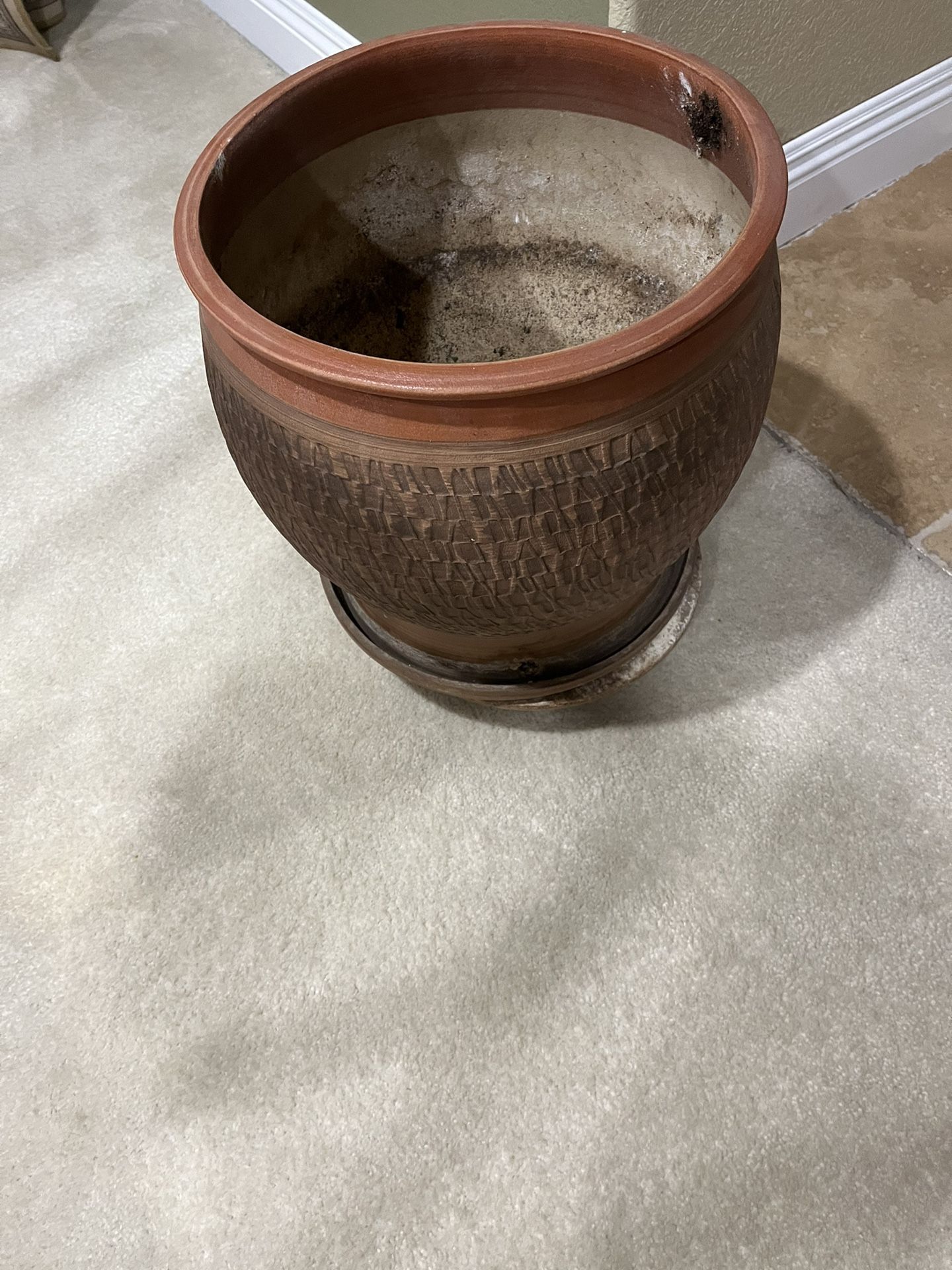 Plant Pot