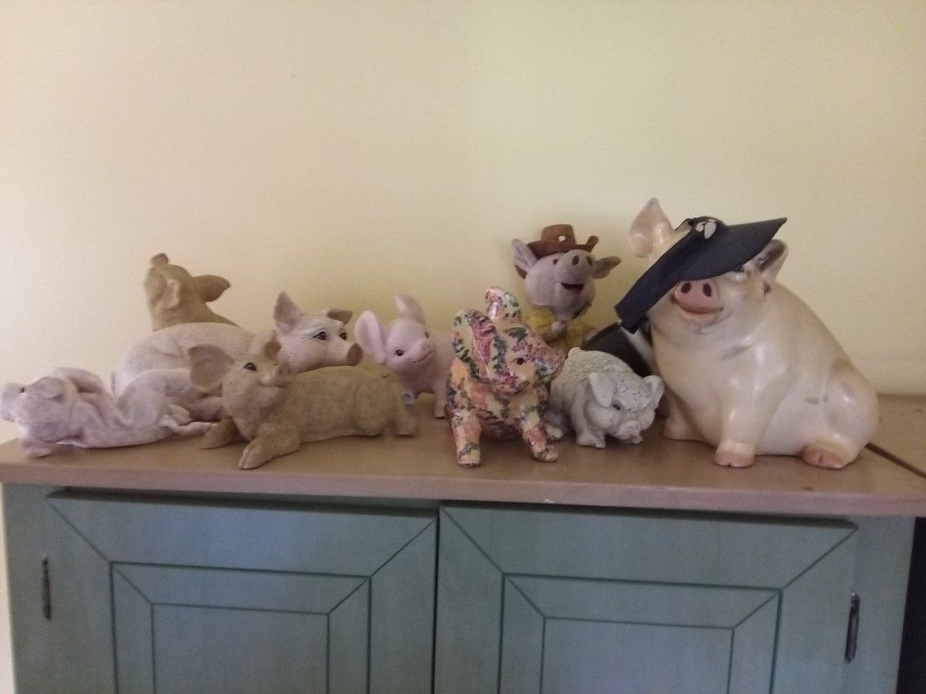 Got pigs?