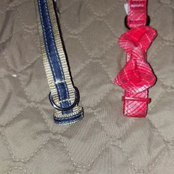 Dog Collars