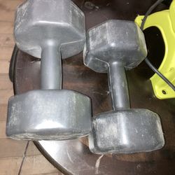 2 10 Lb Weights